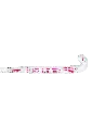 STK00194_1029_2_Vision-25---Pro-Bow_Begonia-Pink.webp