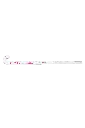 STK00194_1029_5_Vision-25---Pro-Bow_Begonia-Pink.webp