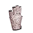 CDH055_003.webp