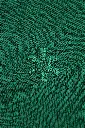 APP00033_7010_5_Unisex-Basic-Hoodie_Dark-Green.webp