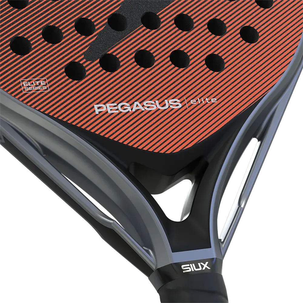 Pegasus Elite.6.webp