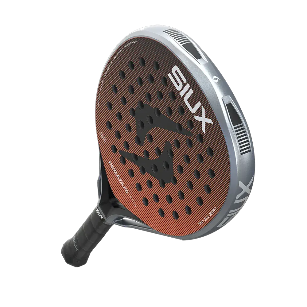 Pegasus Elite.9.webp