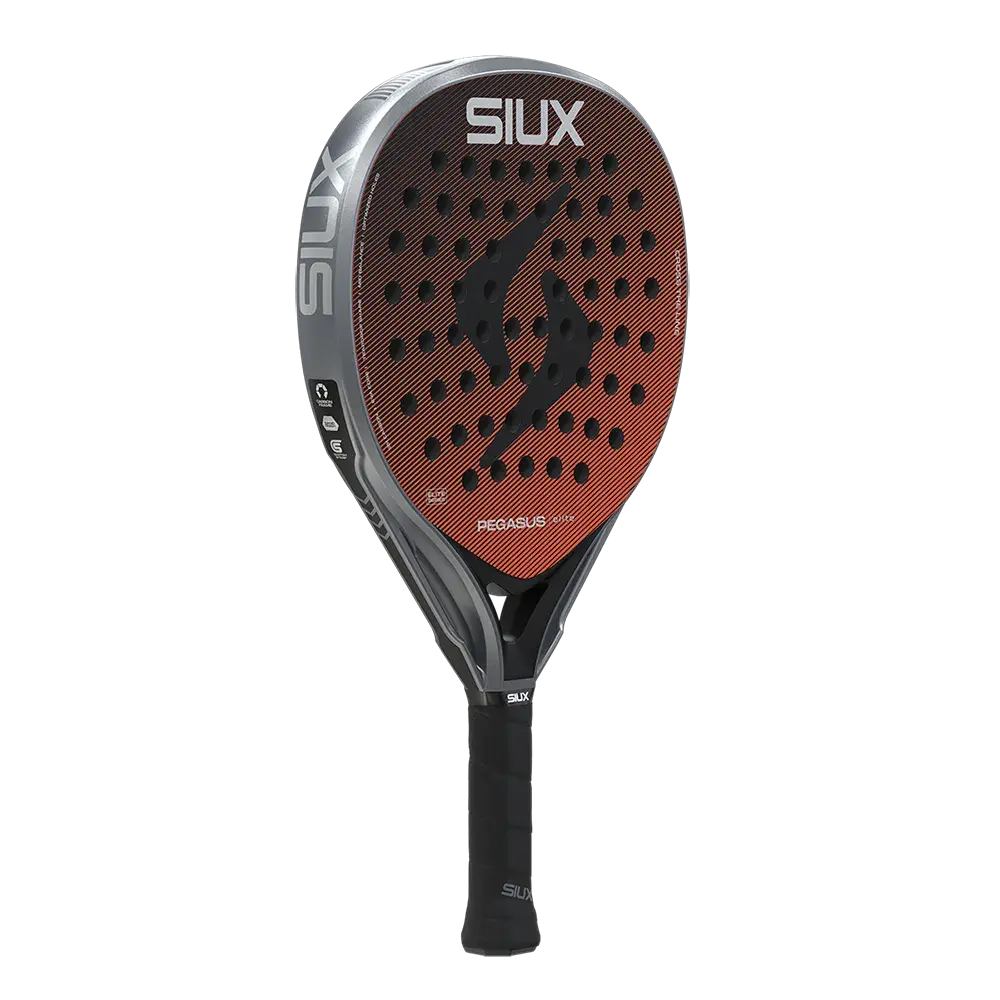 Pegasus Elite.3.webp