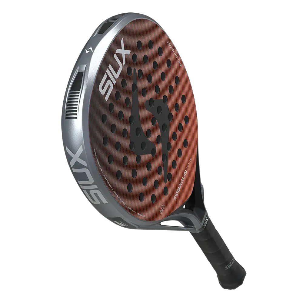 Pegasus Elite.8.webp