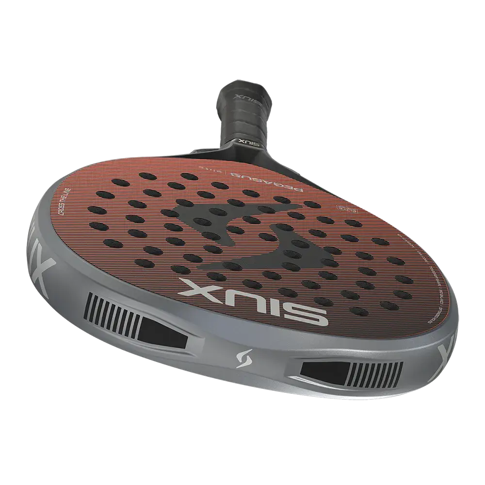 Pegasus Elite.7.webp