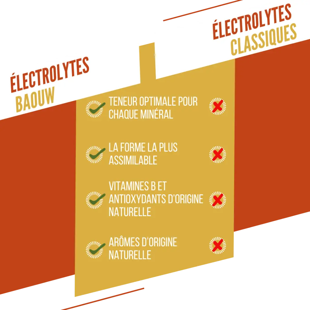 visuel secondaire électrolyte mangue (4).webp