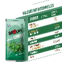 Sachet menthe - mélisse (6).webp