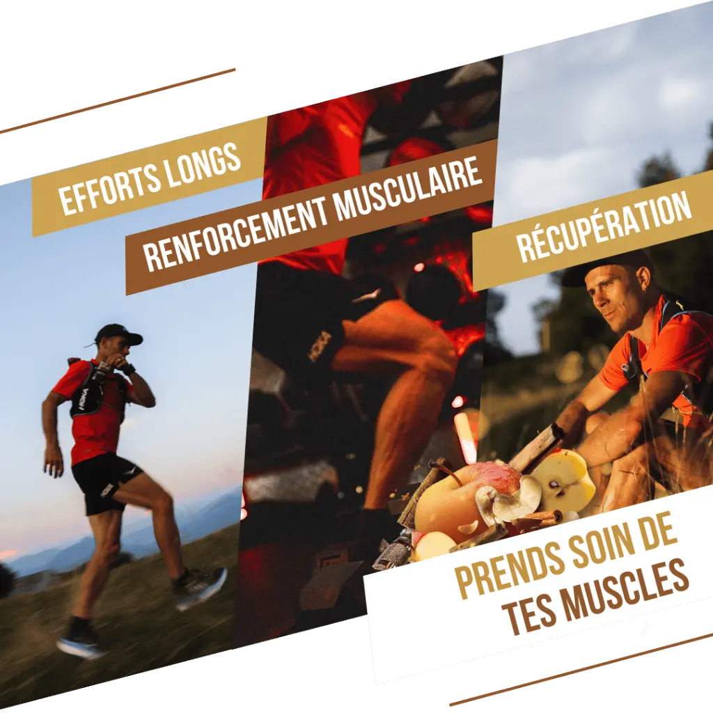 visuel secondaire Barres prot pomme (3).webp