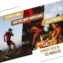 visuel secondaire Barres prot pomme (3).webp