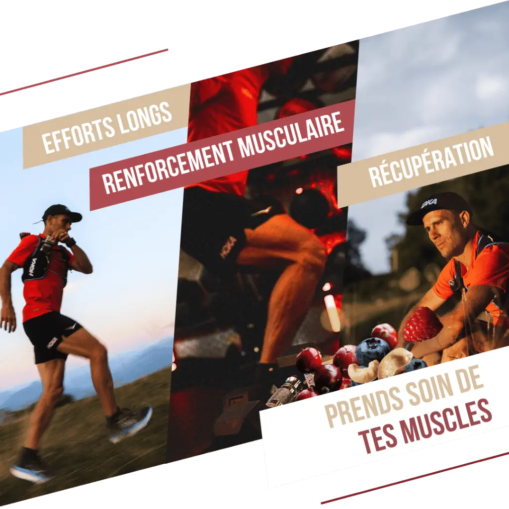 visuel secondaire Barre prot fruits rouges (3).webp