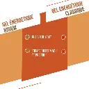 visuel secondaire gel abricot (6).webp