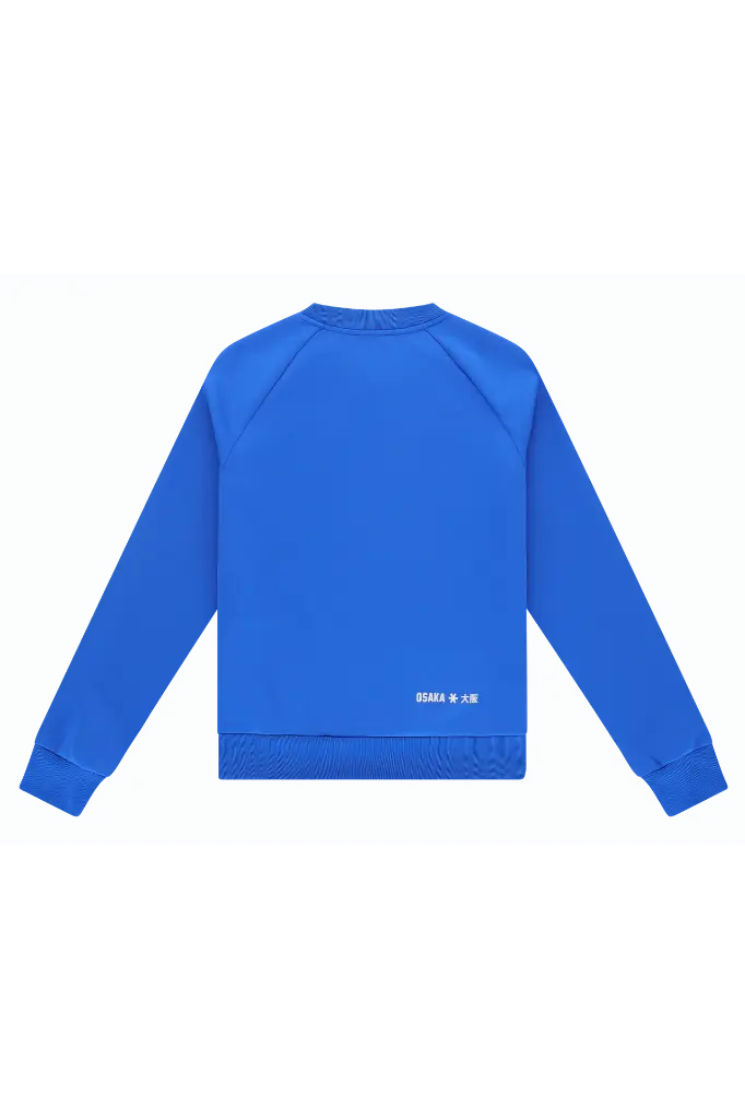 TRN00324_6001_2_Men-Training-Sweater-Pro_Royal-Blue.webp