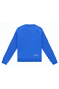 TRN00324_6001_2_Men-Training-Sweater-Pro_Royal-Blue.webp