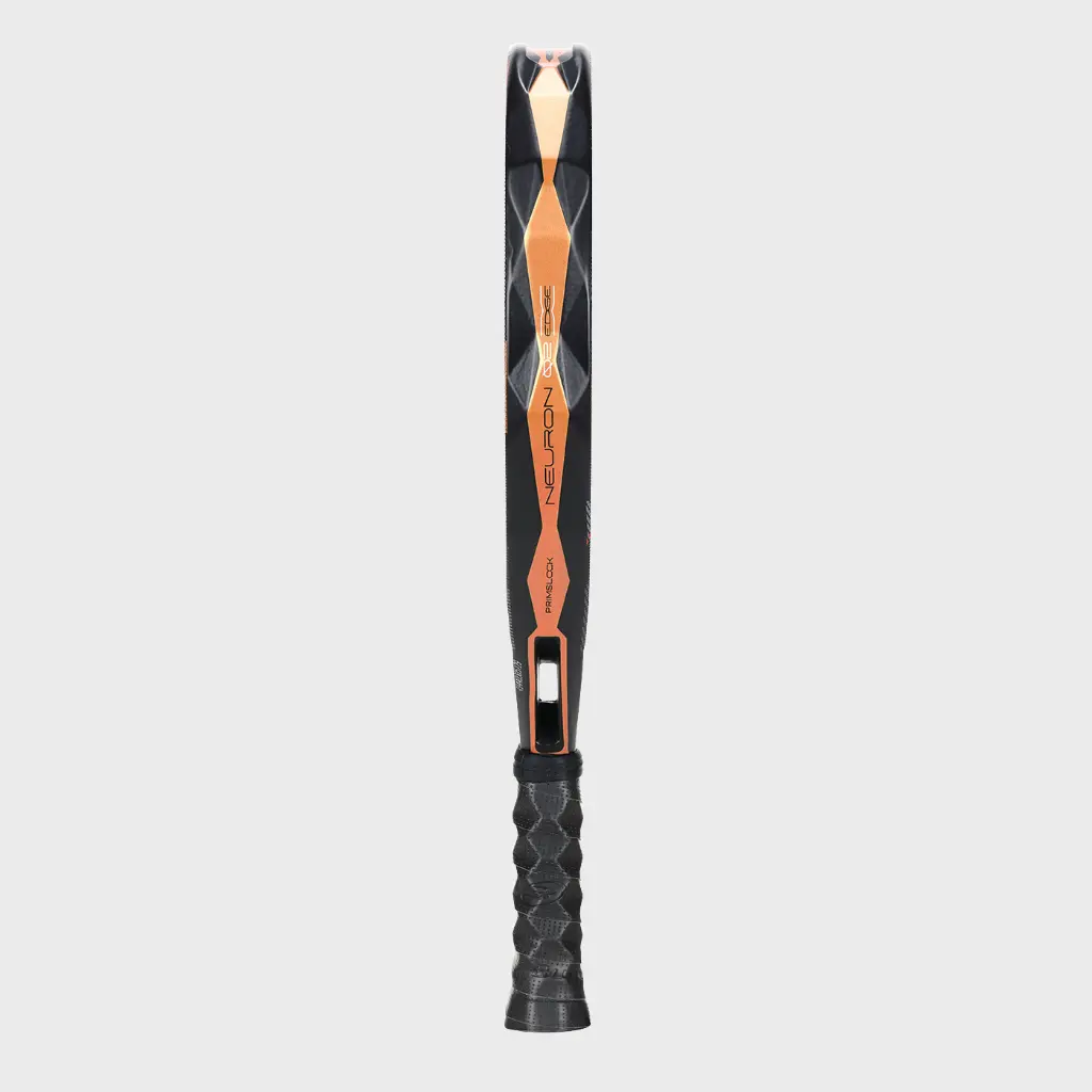 neuron02edge_p.webp