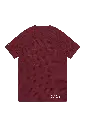 TRN00073_4001_2_Men-Training-Tee-SS-S-REC_Bordeaux.webp