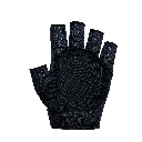 KM1379_002.webp