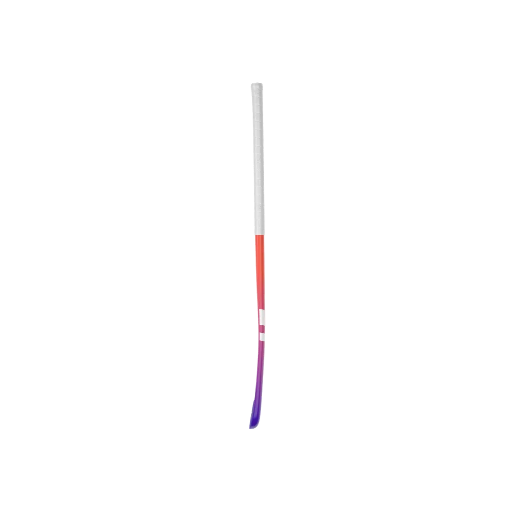 GENESIS_46.webp
