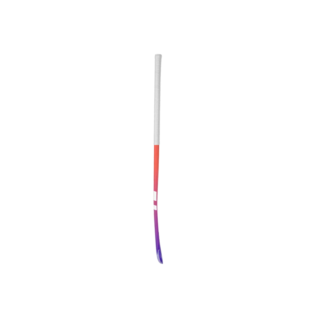 GENESIS_16.webp