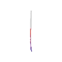 GENESIS_16.webp