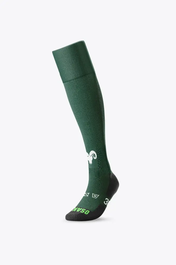 RHCV - Socks Home (36-40)