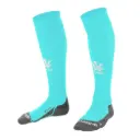 Reece - Springs Socks Mint